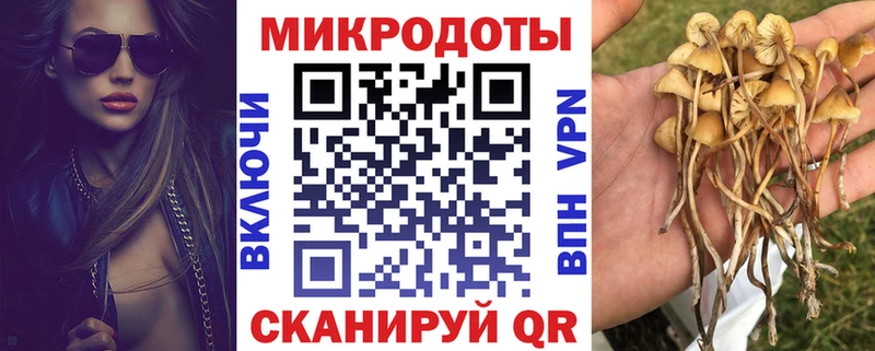 Псилоцибиновые грибы мухоморы  Ессентукская 